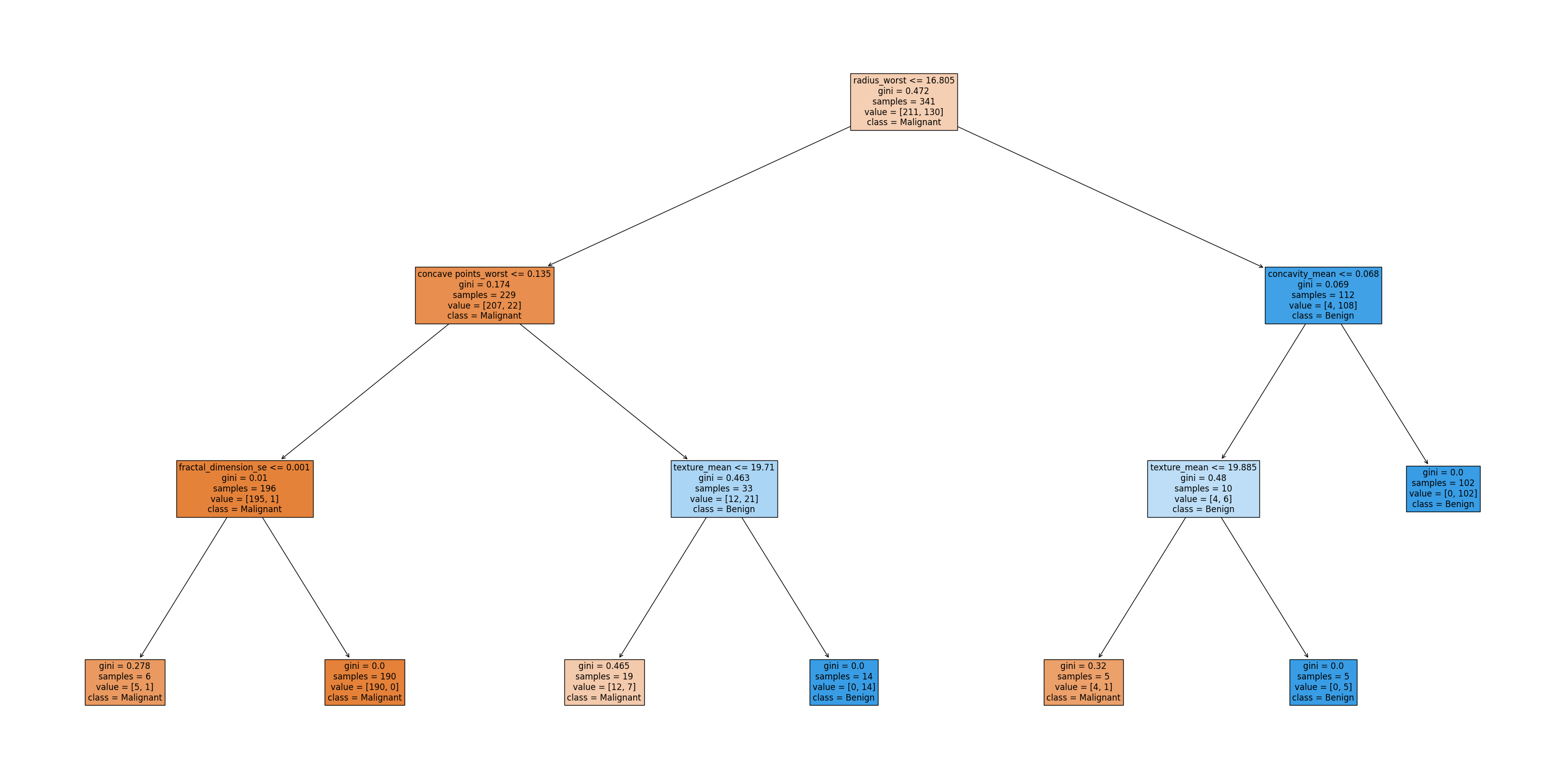 Decision Tree
